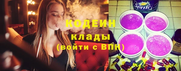 твердый Ельня