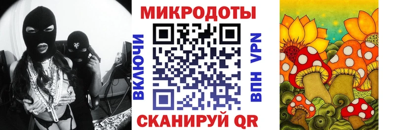 Купить где  Володарск  Галлюциногенные грибы Cubensis 