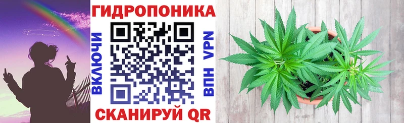Шишки марихуана VHQ  Купить закладки  Володарск 